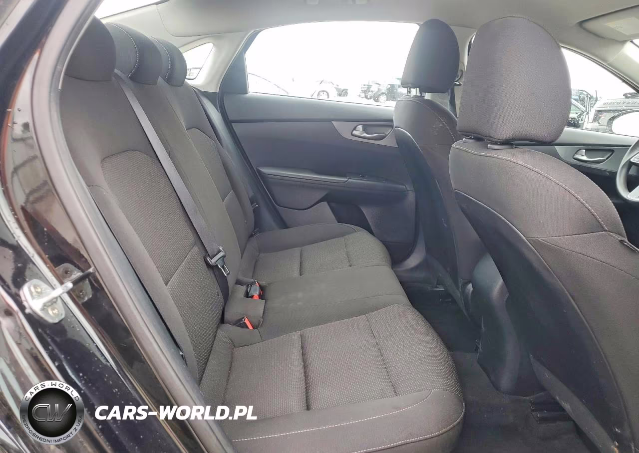 2020 Kia Forte Fe VIN:3KPF24AD6LE174115 - 10