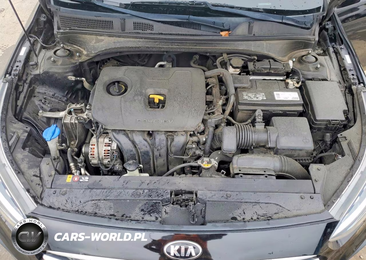 2020 Kia Forte Fe VIN:3KPF24AD6LE174115 - 11