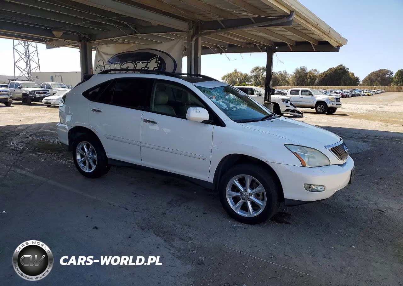 2009 Lexus Rx 350 VIN:2T2HK31U59C101002 - 4
