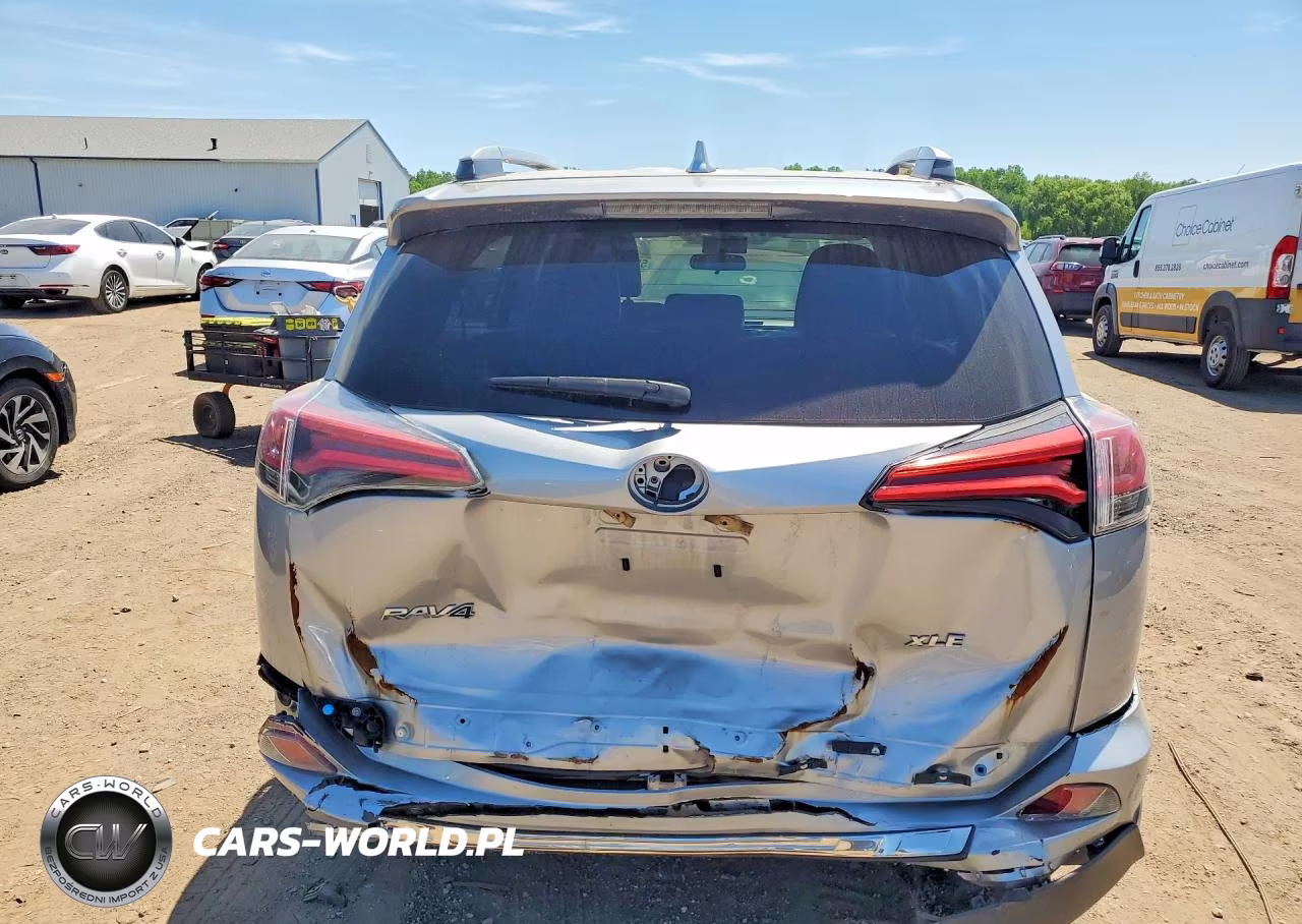 2016 Toyota Rav4 Xle VIN:2T3WFREV3GW241834 - 6