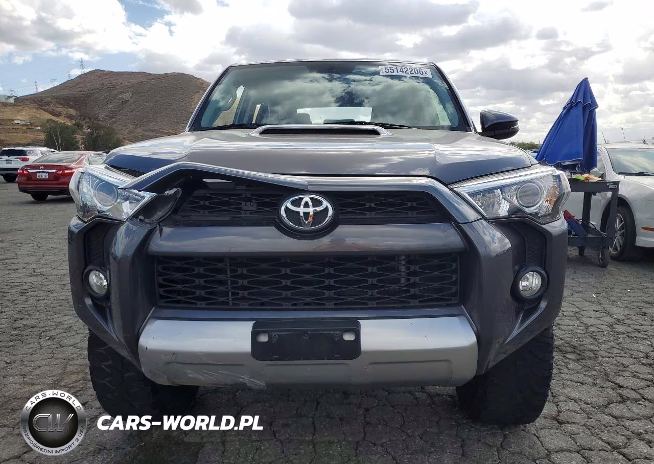 2019 Toyota 4Runner Trd Off-Road Premium VIN:JTEBU5JR7K5709422 - 5