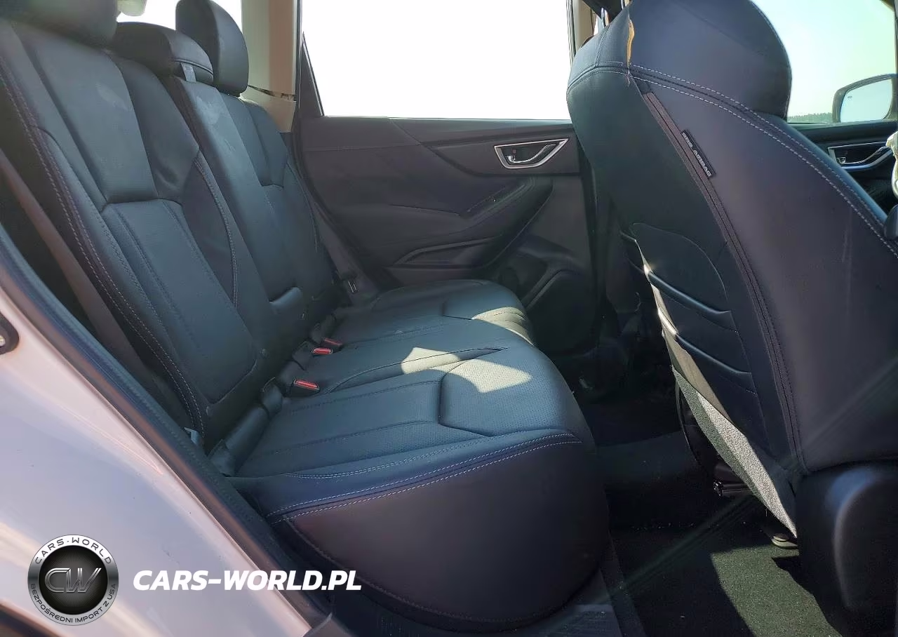 2019 Subaru Forester Limited VIN:JF2SKAUC0KH404175 - 10