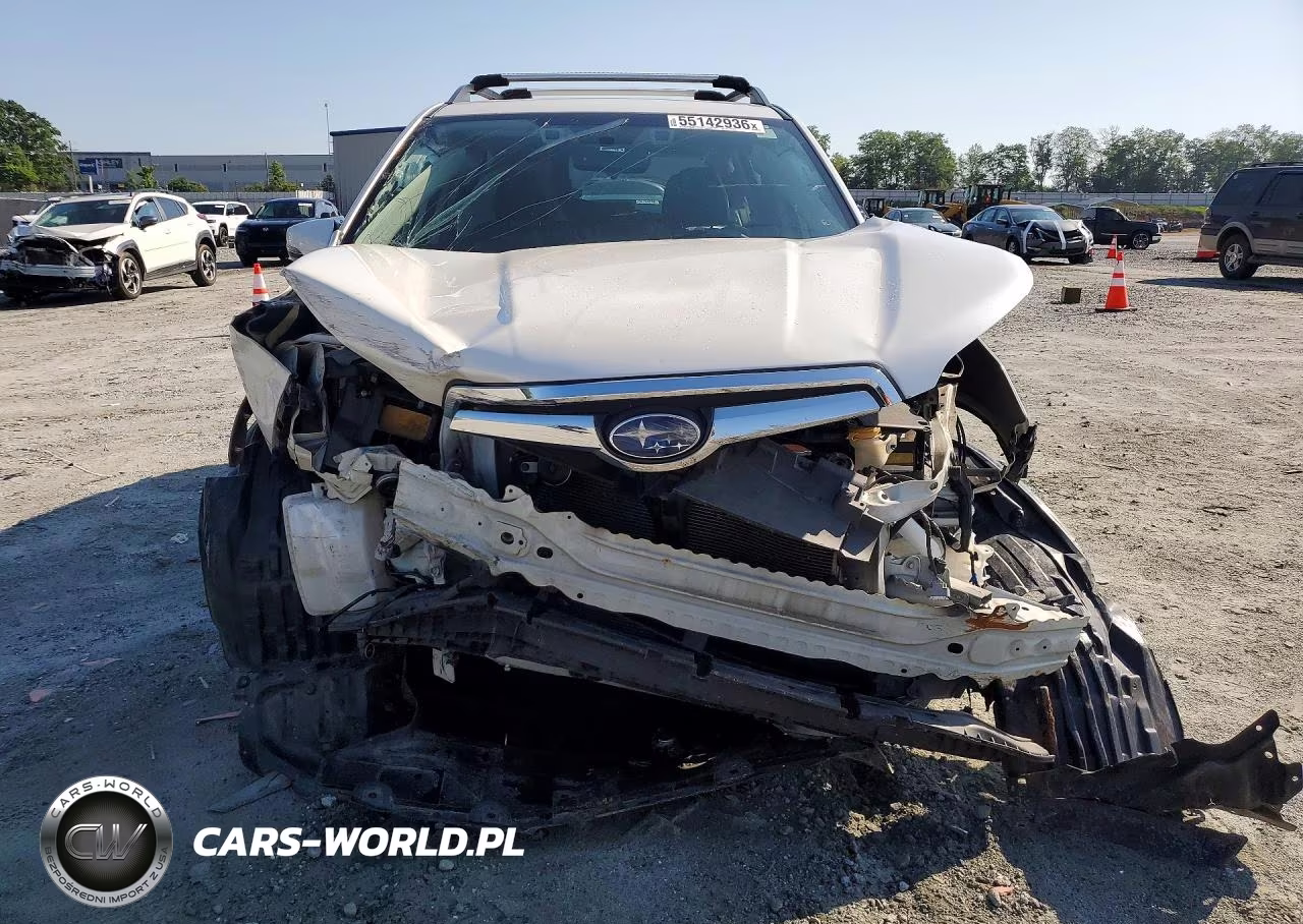2019 Subaru Forester Limited VIN:JF2SKAUC0KH404175 - 5