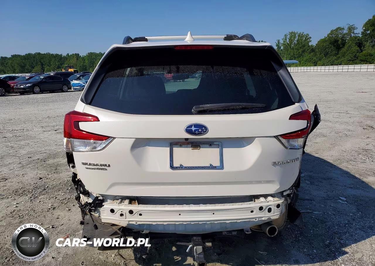 2019 Subaru Forester Limited VIN:JF2SKAUC0KH404175 - 6