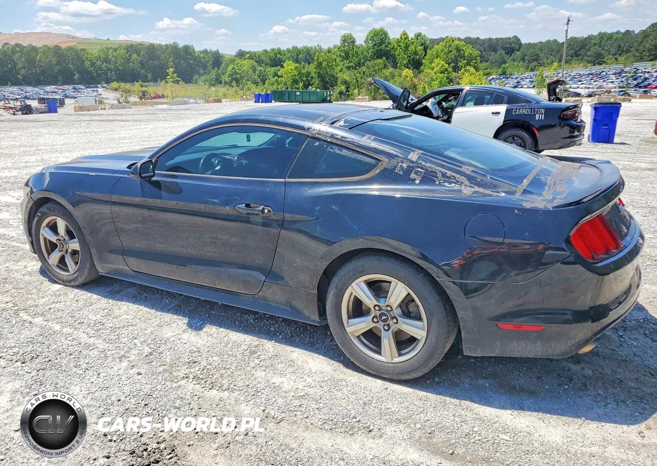 2015 Ford Mustang VIN:1FA6P8AMXF5402308 - 2