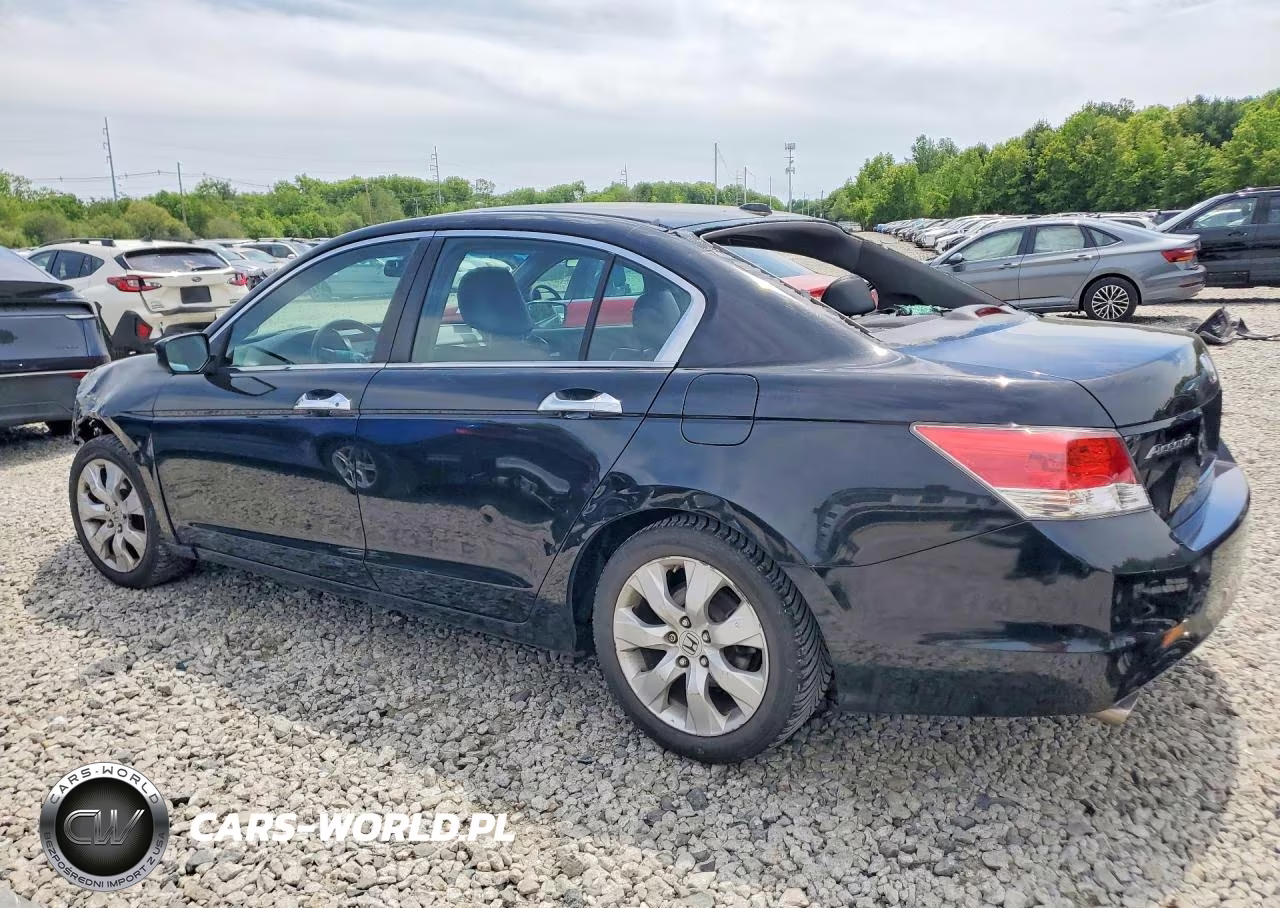 2010 Honda Accord Exl VIN:1HGCP3F86AA026266 - 2