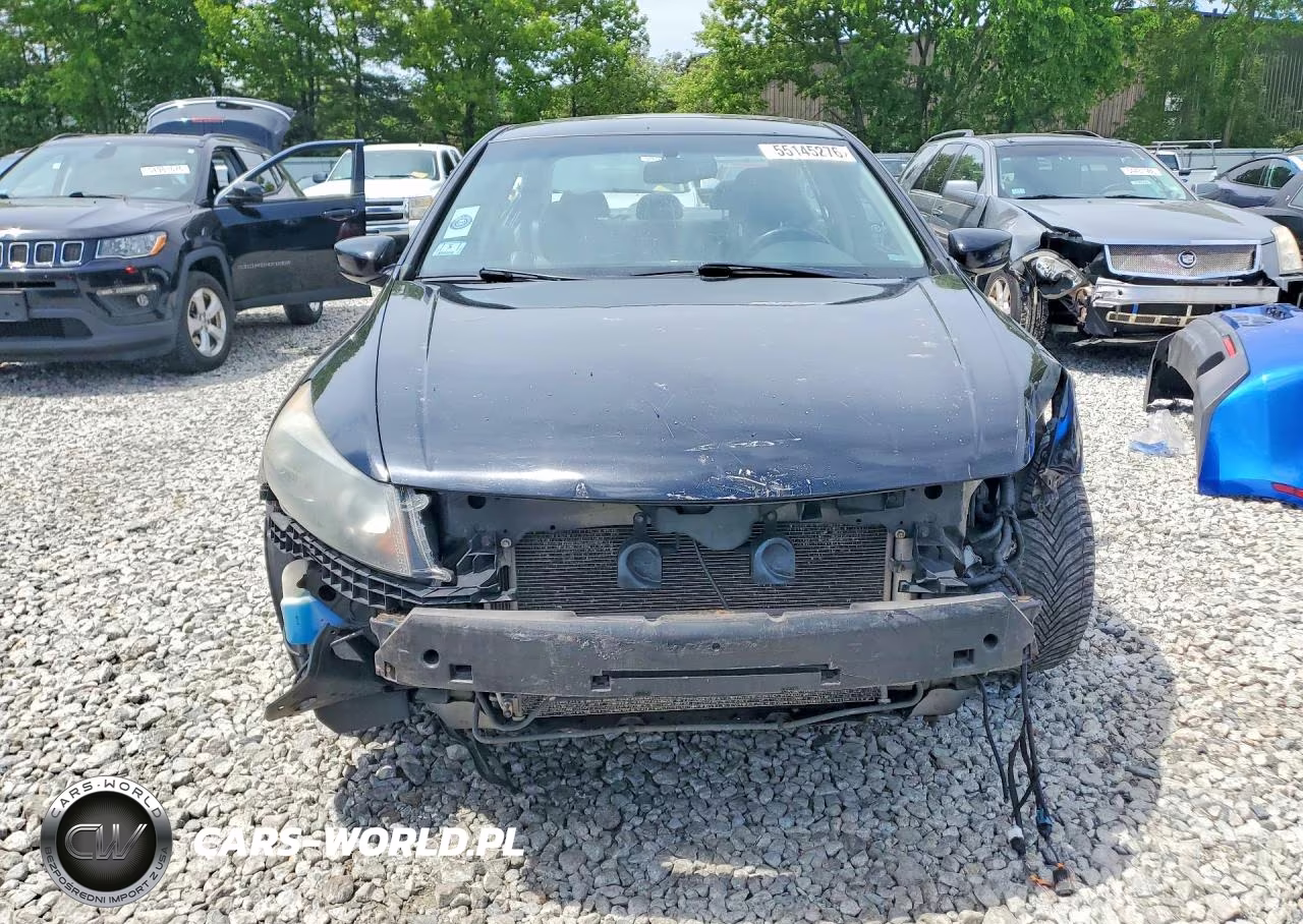 2010 Honda Accord Exl VIN:1HGCP3F86AA026266 - 5