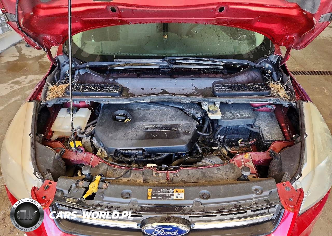 2014 Ford Escape Se VIN:1FMCU9GXXEUD23136 - 12