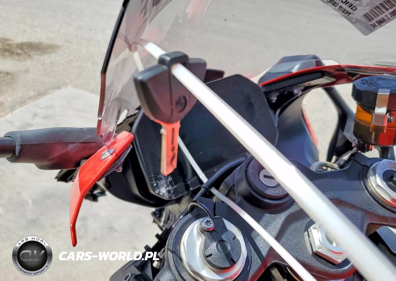 2024 BMW S 1000 Rr VIN:WB10E6306R6K42394 - 8