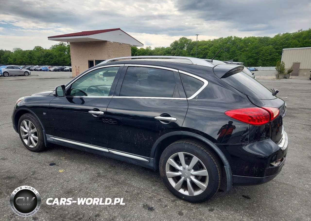 INFINITI QX50 VIN:JN1BJ0RP4GM231298 - 2
