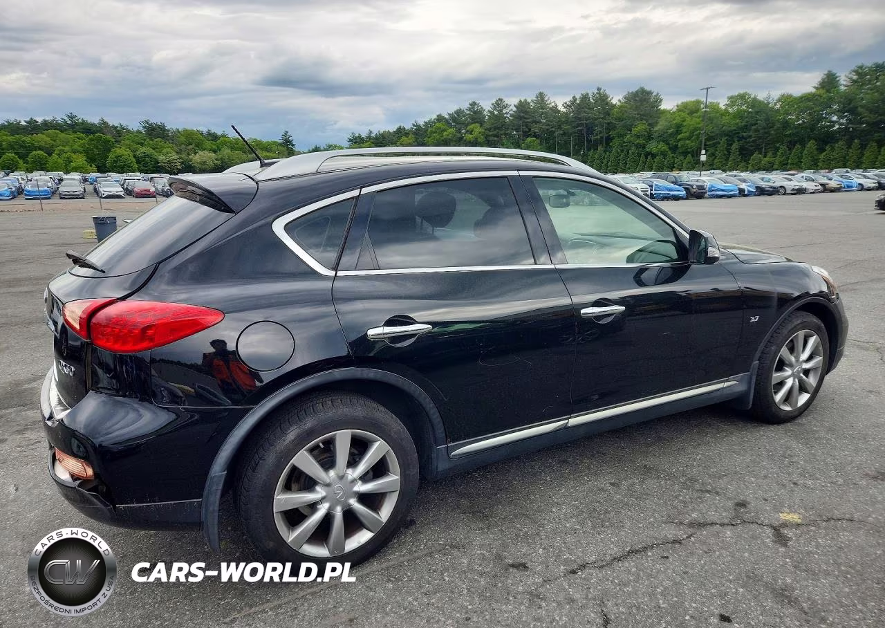 INFINITI QX50 VIN:JN1BJ0RP4GM231298 - 3