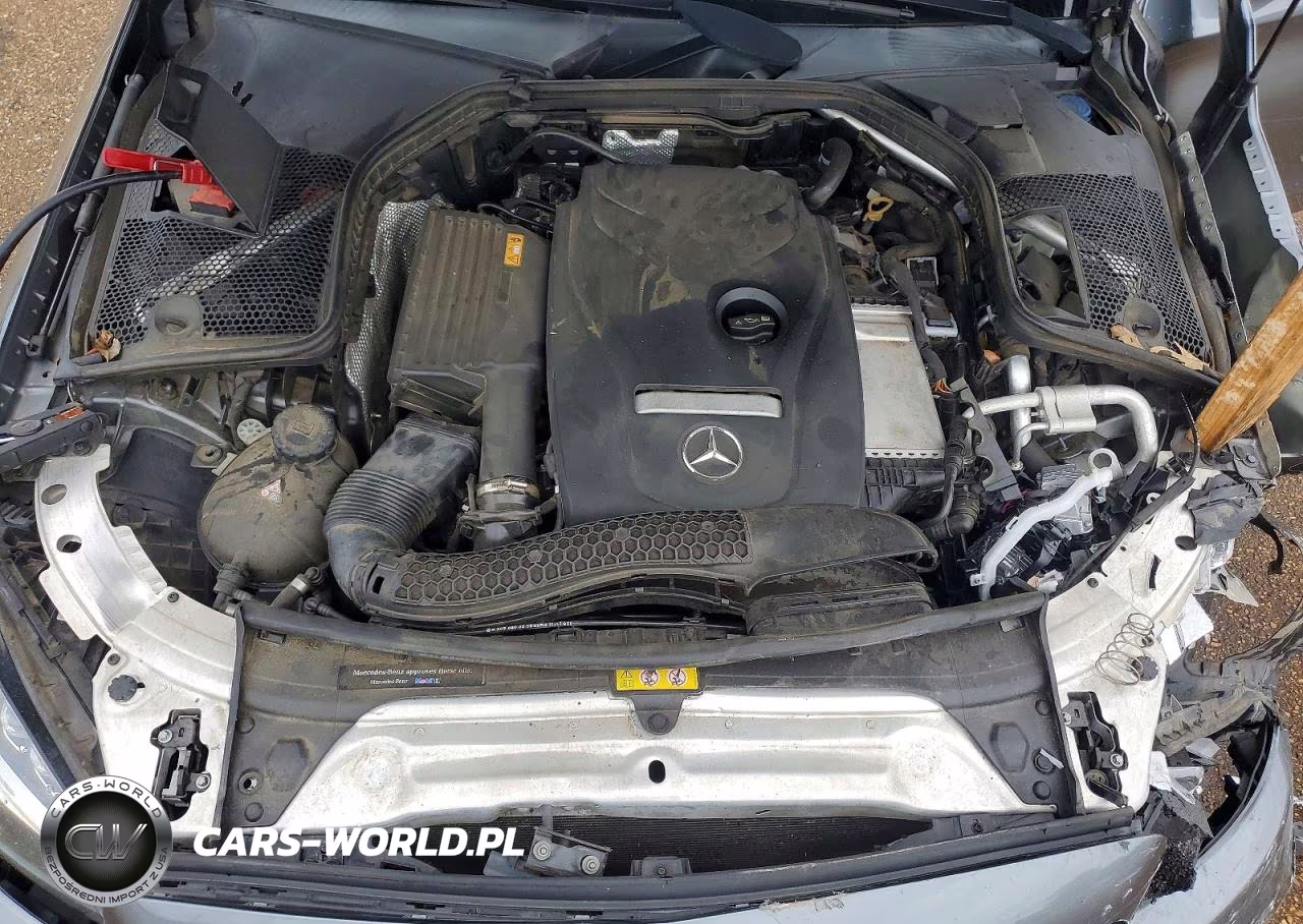2018 Mercedes-Benz C 300 VIN:55SWF4JB3JU253508 - 11