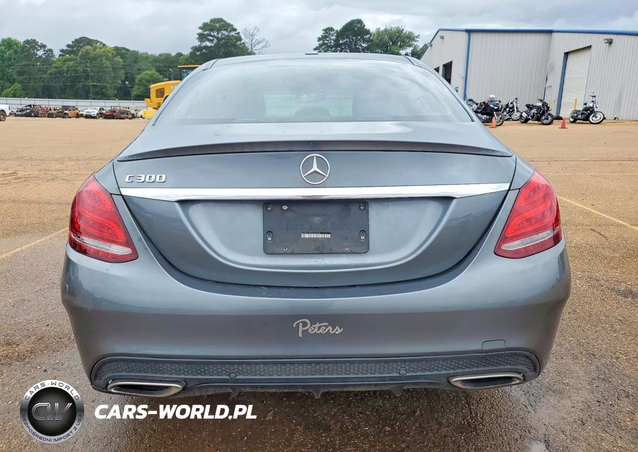 2018 Mercedes-Benz C 300 VIN:55SWF4JB3JU253508 - 6