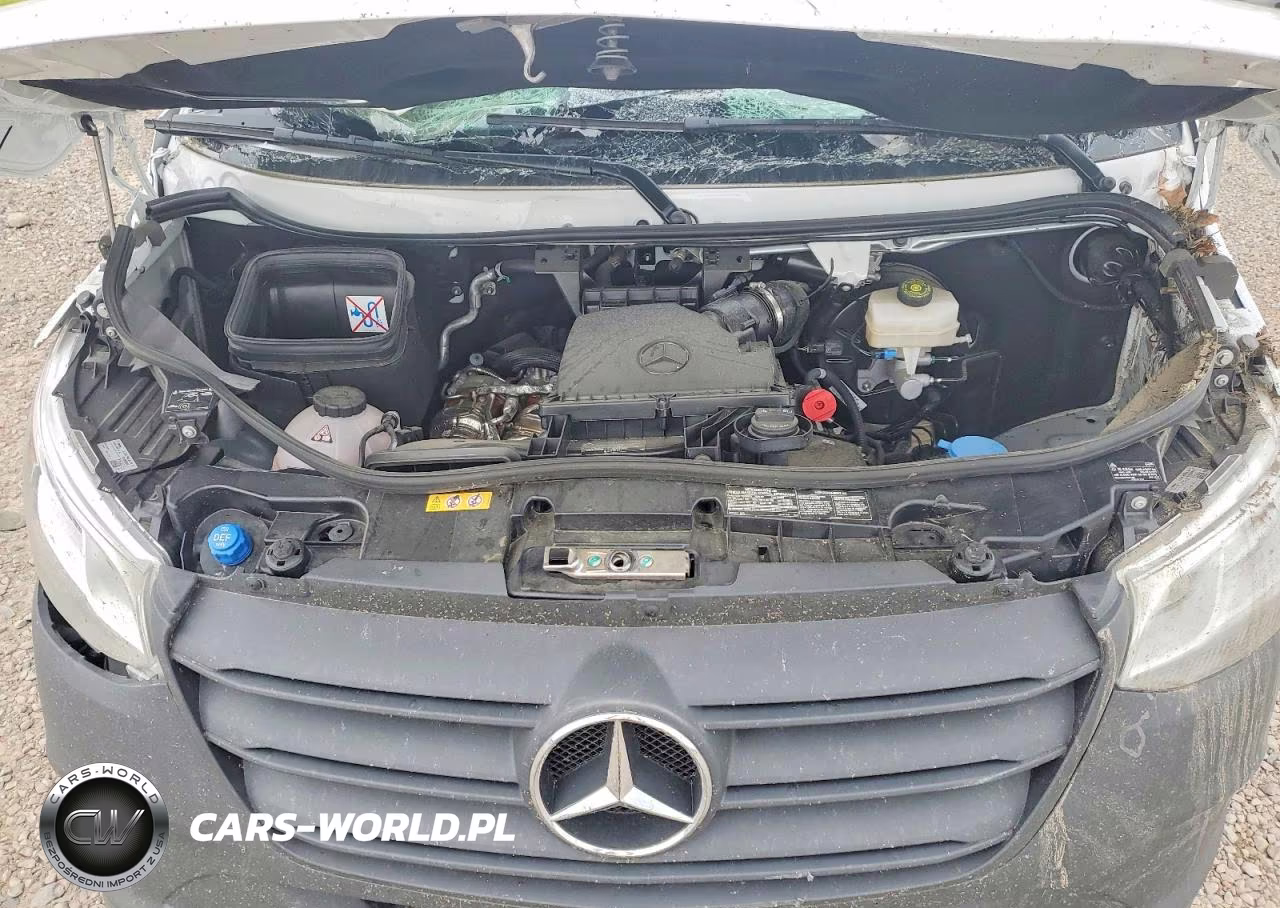 2025 Mercedes Benz Sprinter 2500 Delivery Van VIN:W1Y4KCHY2ST230398 - 12