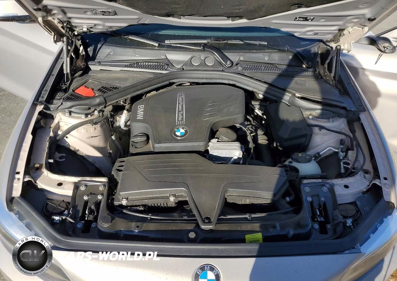 2016 BMW 228 Xi Sulev VIN:WBA1G9C59GV726624 - 11