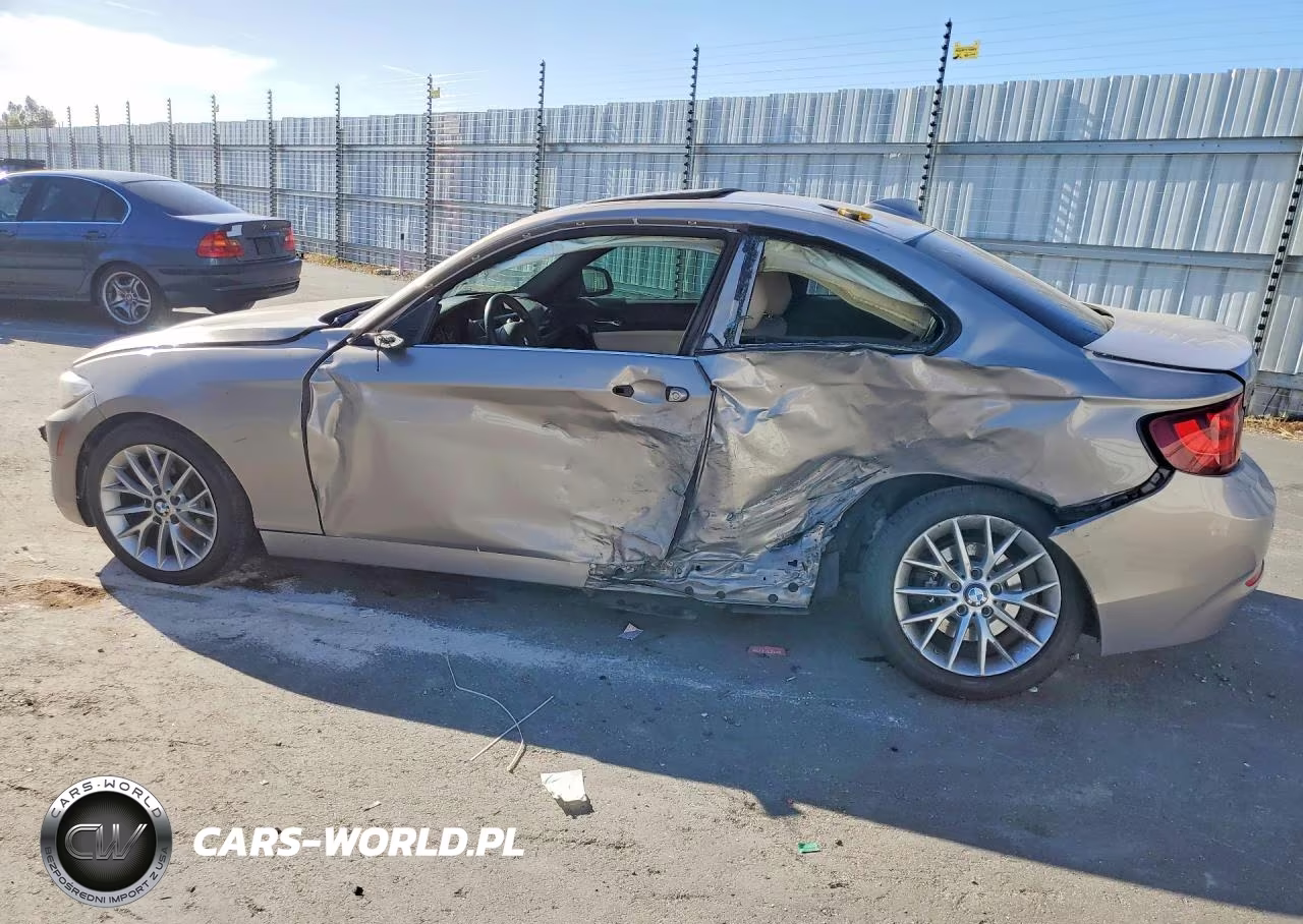 2016 BMW 228 Xi Sulev VIN:WBA1G9C59GV726624 - 2