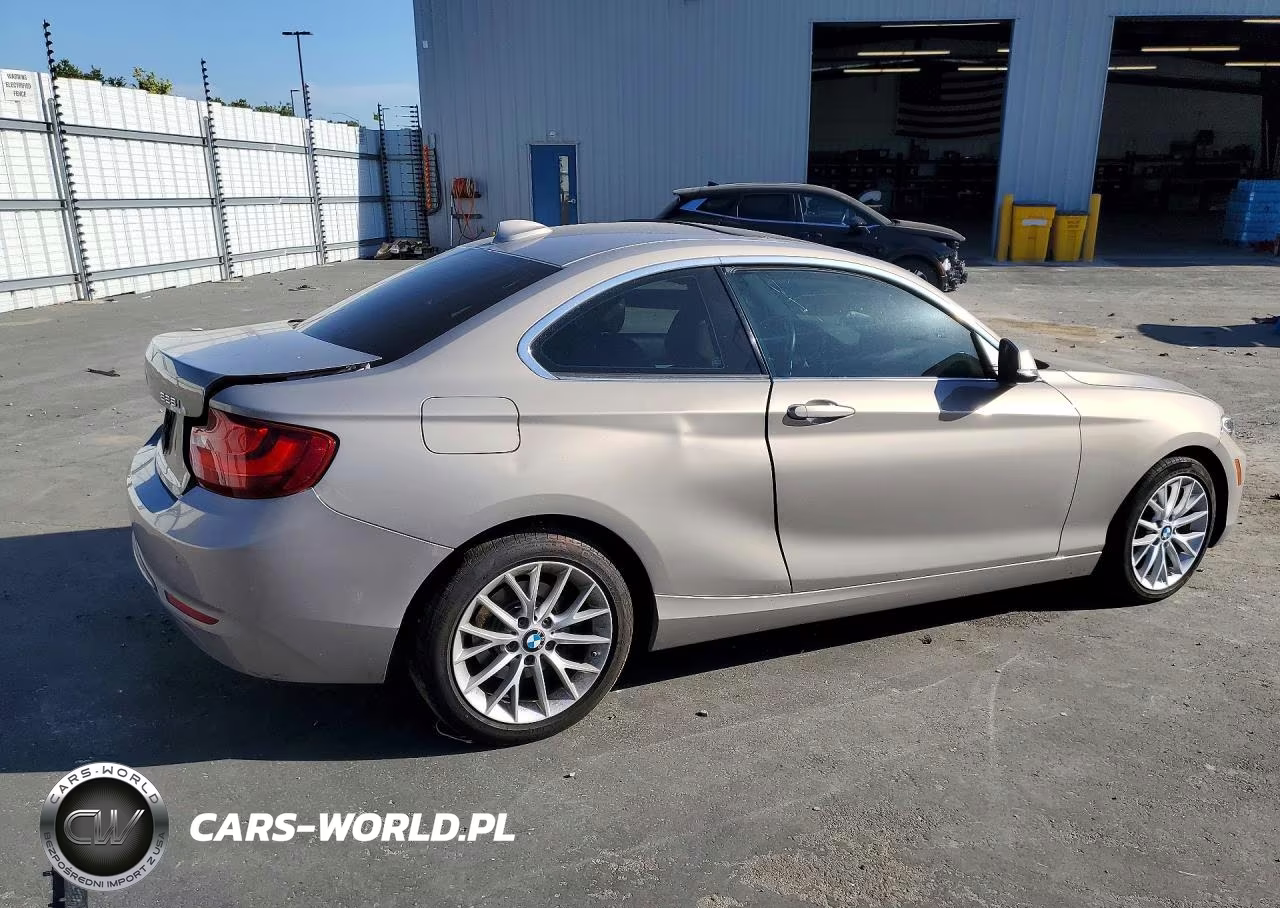 2016 BMW 228 Xi Sulev VIN:WBA1G9C59GV726624 - 3
