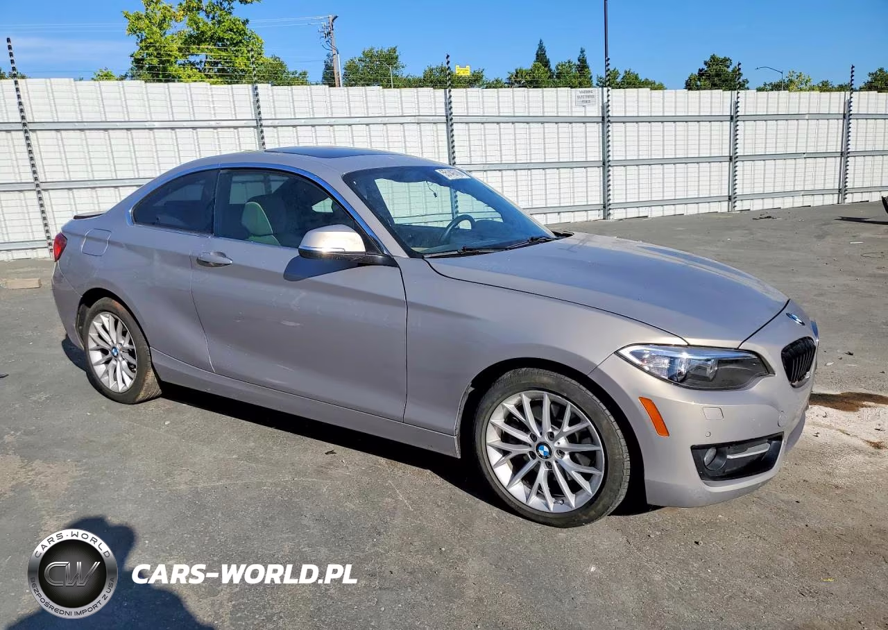 2016 BMW 228 Xi Sulev VIN:WBA1G9C59GV726624 - 4