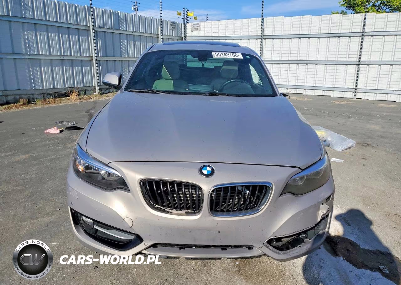 2016 BMW 228 Xi Sulev VIN:WBA1G9C59GV726624 - 5