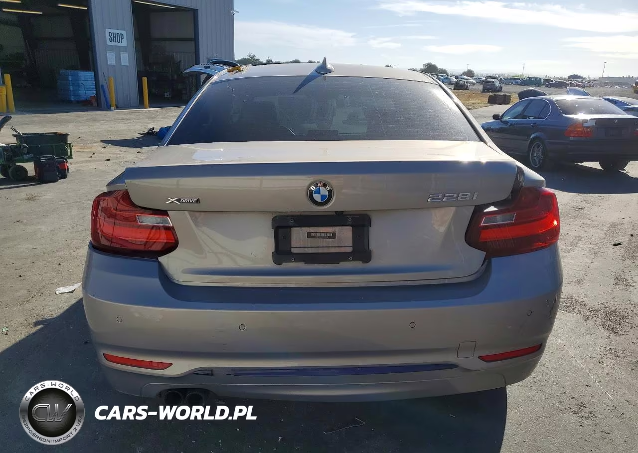 2016 BMW 228 Xi Sulev VIN:WBA1G9C59GV726624 - 6