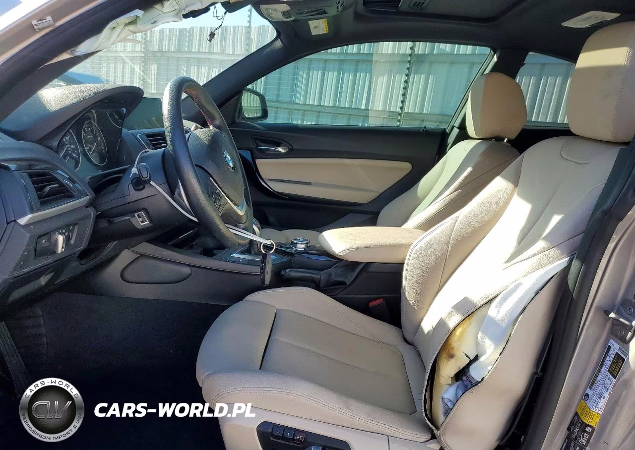 2016 BMW 228 Xi Sulev VIN:WBA1G9C59GV726624 - 7