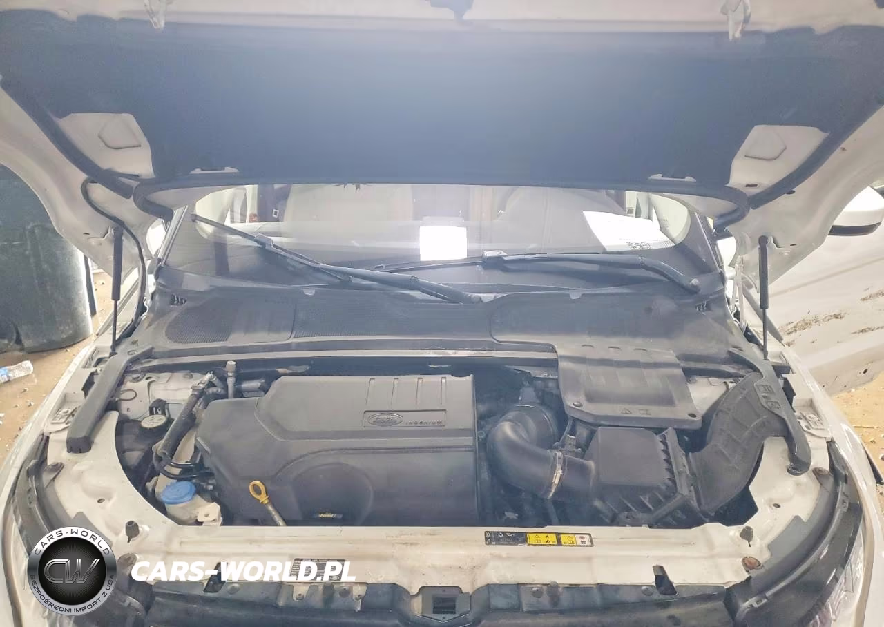 2019 Land Rover Range Rover Evoque Se VIN:SALVP2RX1KH342230 - 12