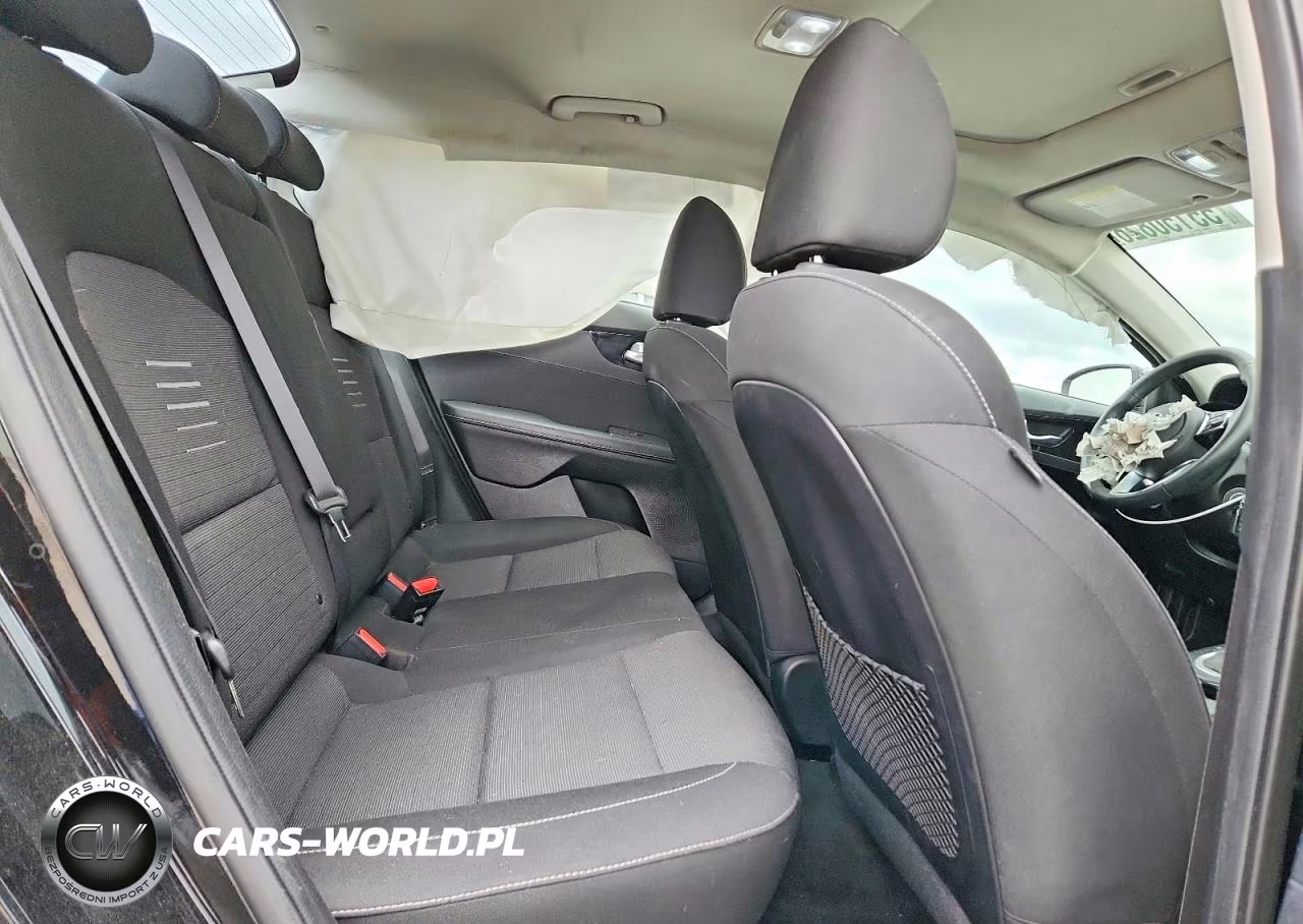 2019 Kia Forte S VIN:3KPF34AD9KE014130 - 10