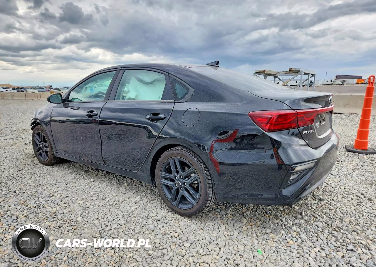 2019 Kia Forte S VIN:3KPF34AD9KE014130 - 2