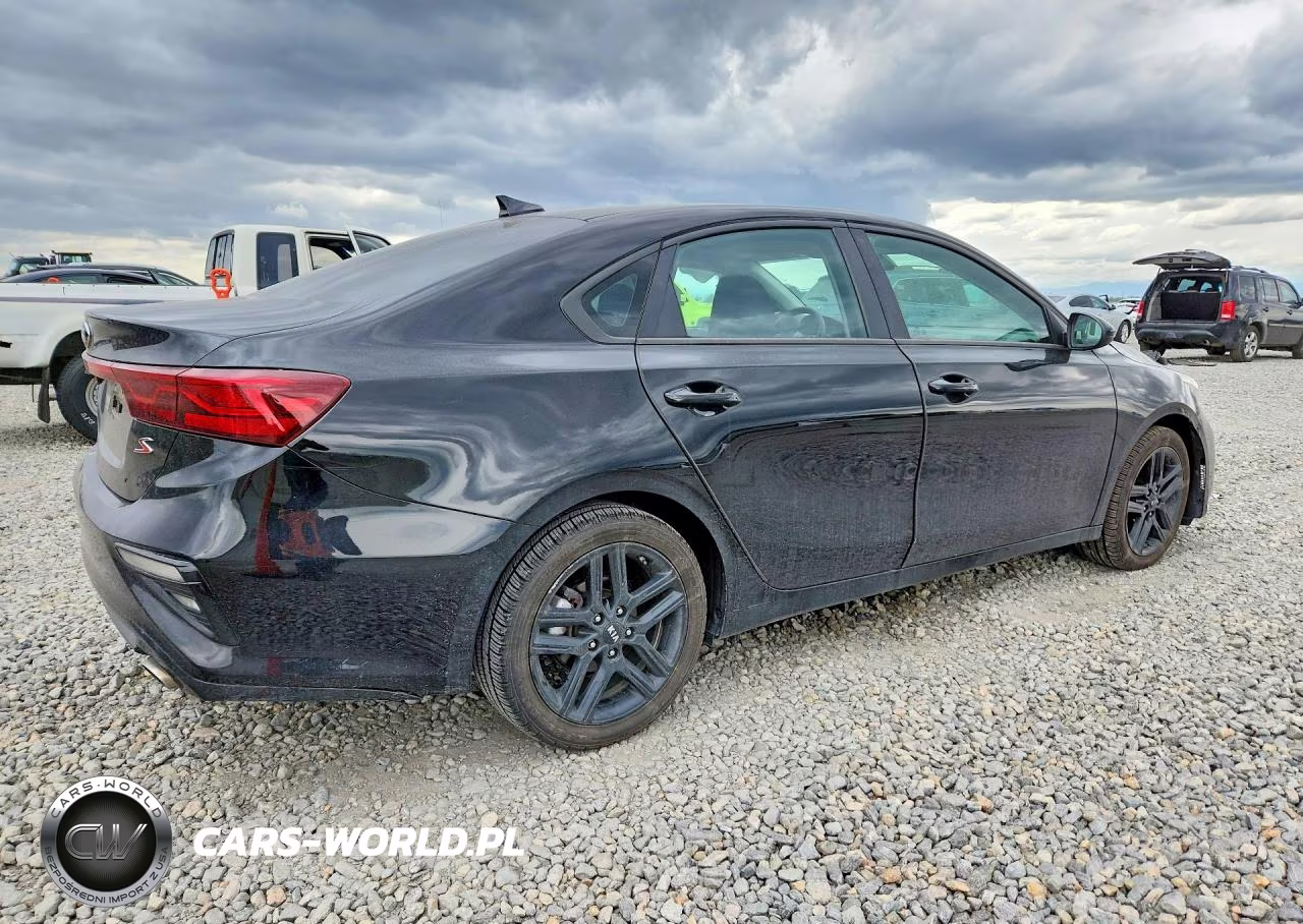 2019 Kia Forte S VIN:3KPF34AD9KE014130 - 3