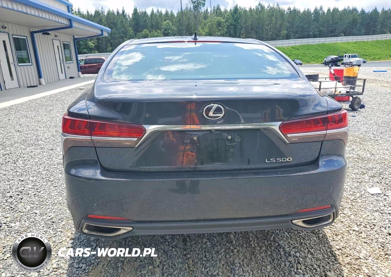 2019 Lexus Ls 500 Base VIN:JTHB51FF3K5007749 - 6
