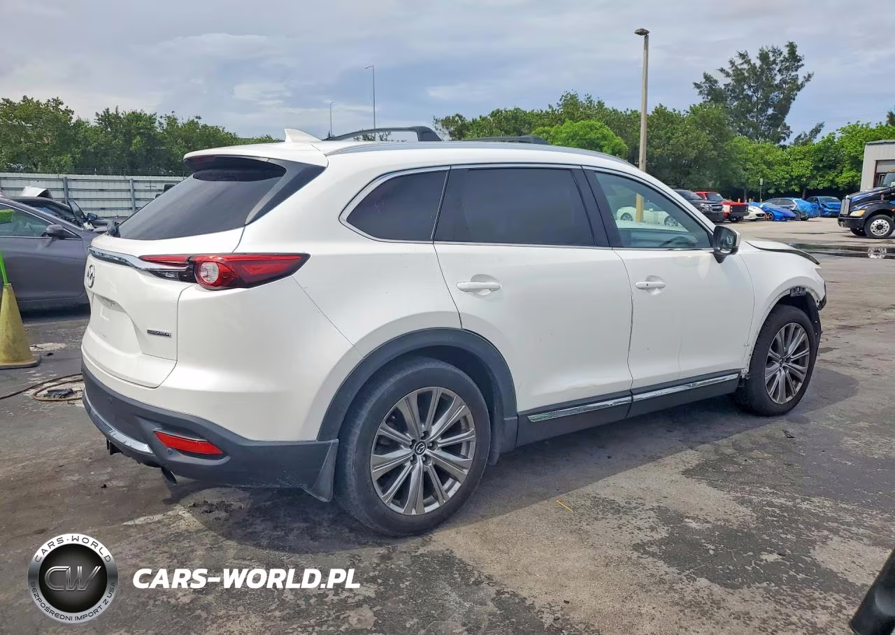 2021 Mazda Cx-9 Signature VIN:JM3TCBEY9M0515493 - 3