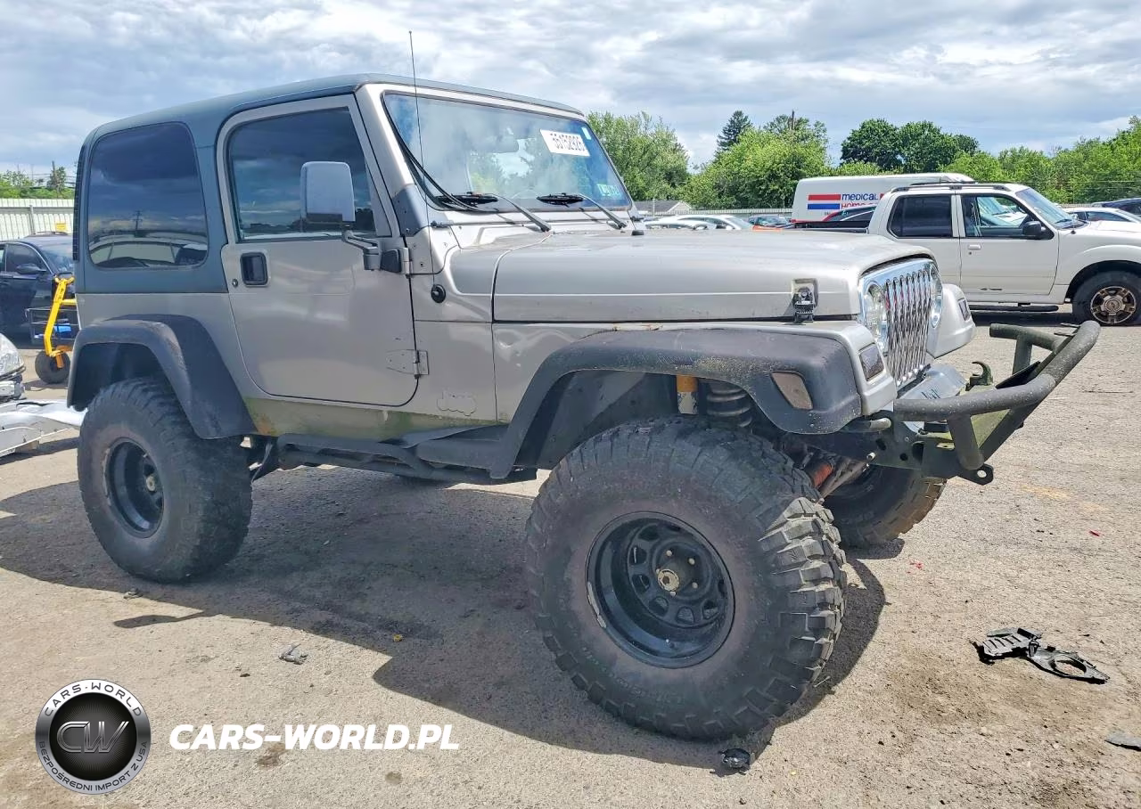 2002 Jeep Wrangler - Tj Sport VIN:1J4FA49S52P723947 - 4