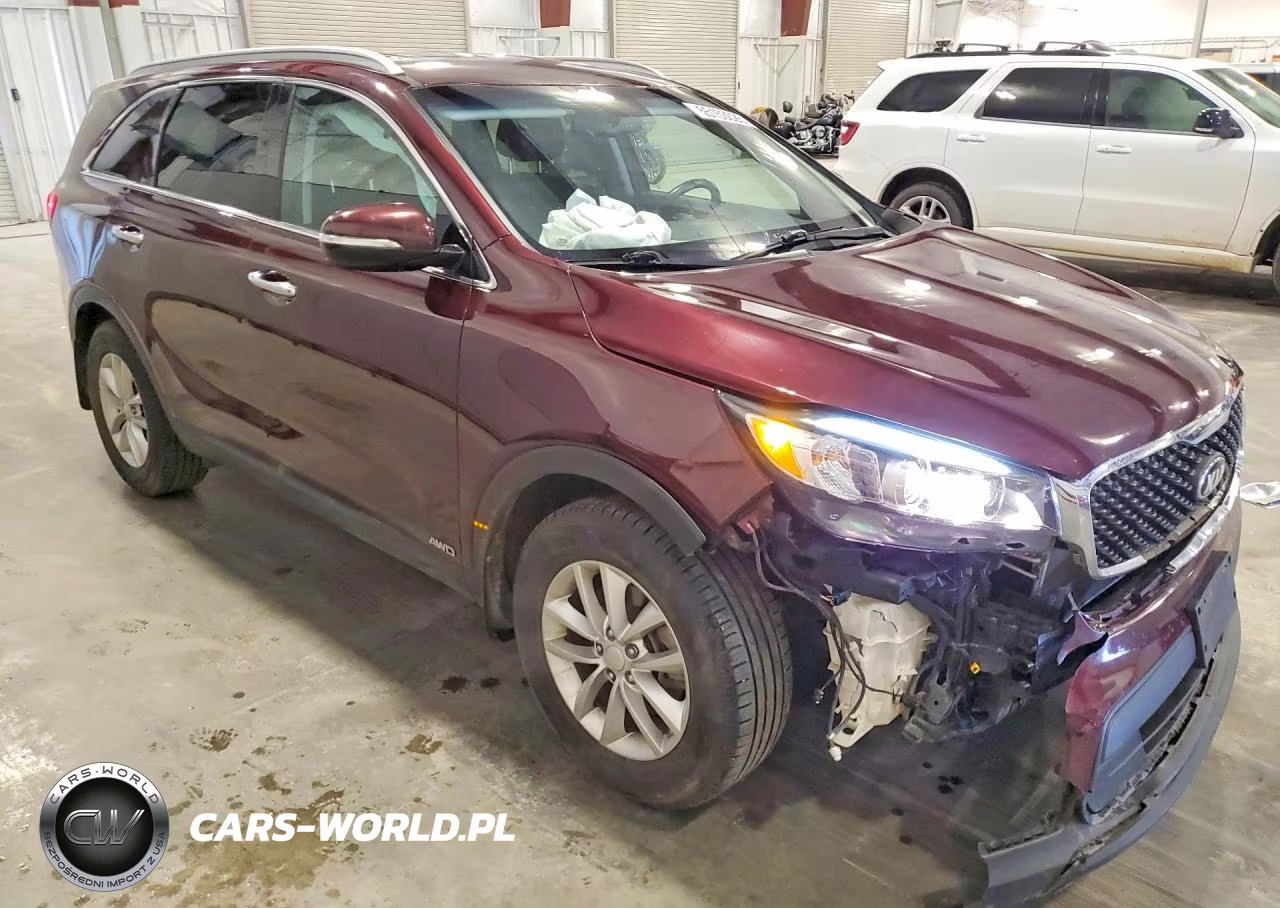 2016 Kia Sorento Lx VIN:5XYPGDA32GG133941 - 4