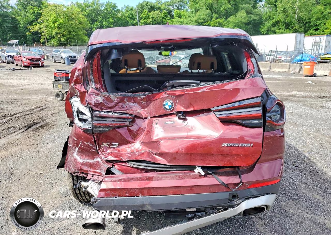 2022 BMW X3 xDrive30I VIN:5UX53DP03N9L62156 - 6