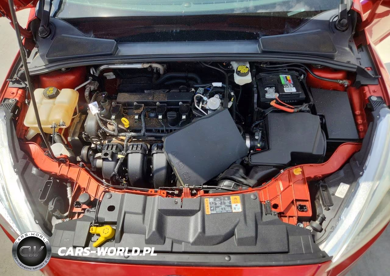 2018 Ford Focus Se VIN:1FADP3F21JL252773 - 11
