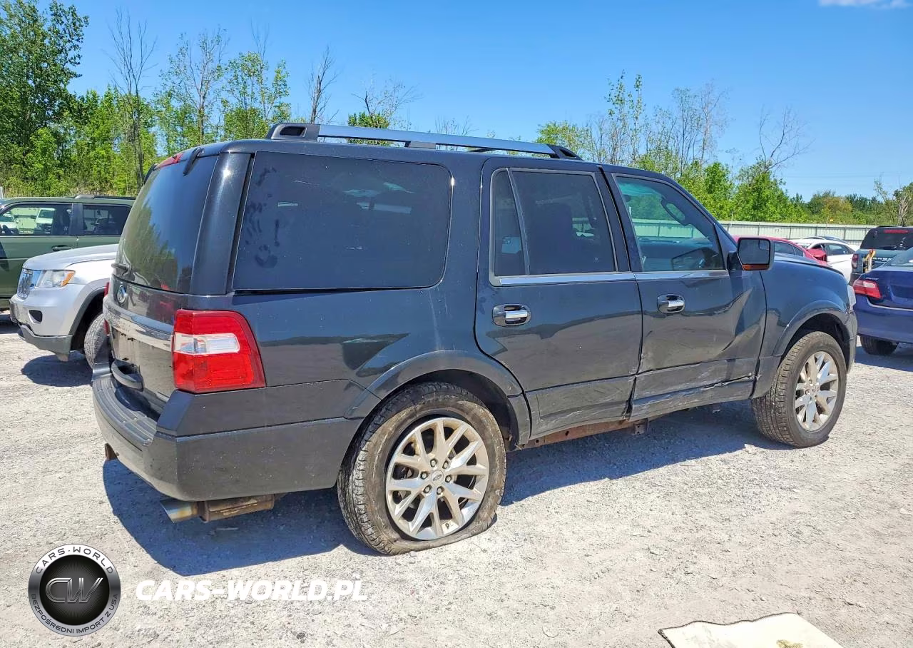 2015 Ford Expedition Limited VIN:1FMJU2AT1FEF06439 - 3