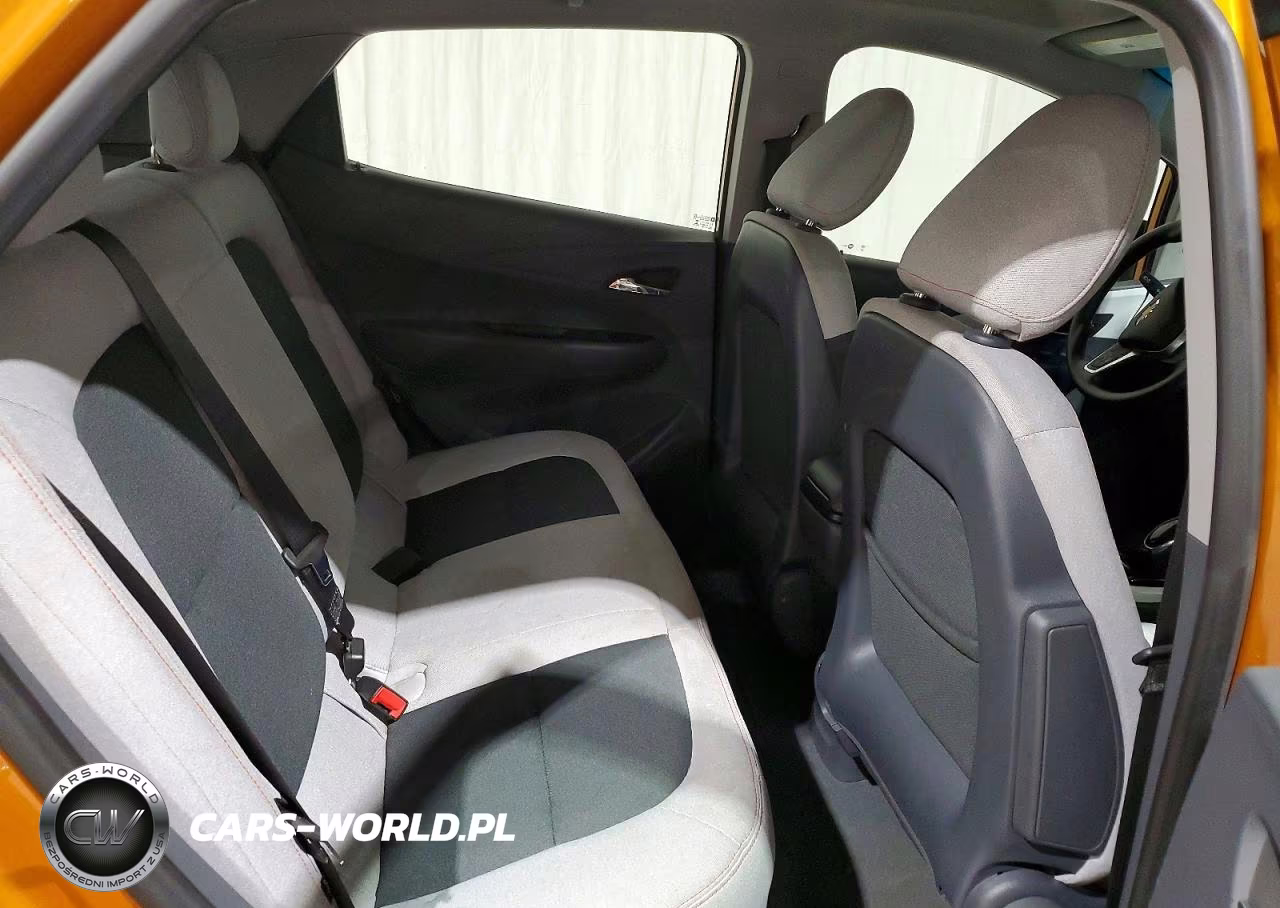 2017 Chevrolet Bolt Ev Lt VIN:1G1FW6S02H4184489 - 10