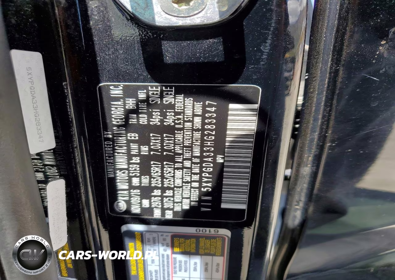 2017 Kia Sorento Lx VIN:5XYPGDA33HG283347 - 12