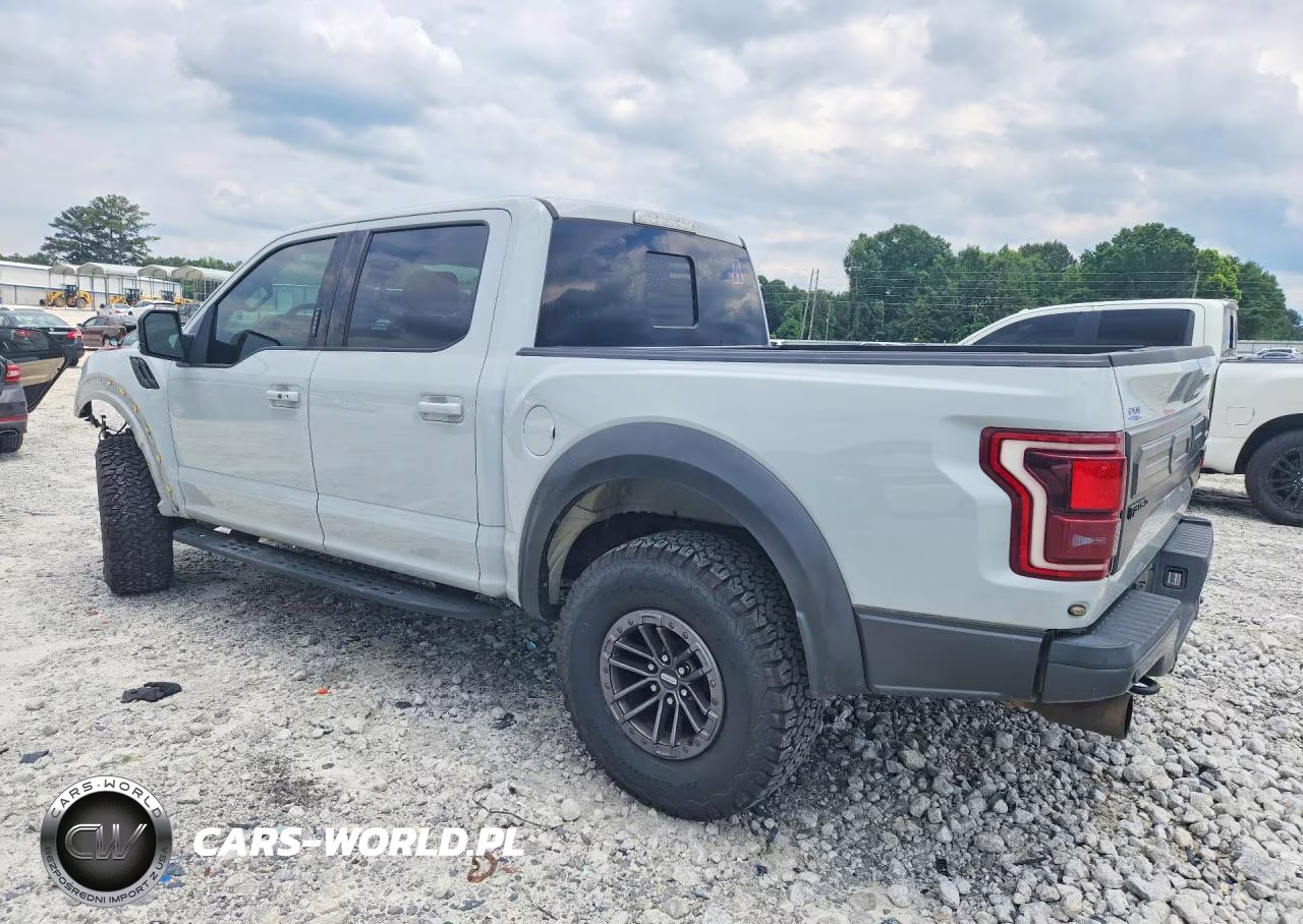 2017 Ford F150 Raptor VIN:1FTFW1RG8HFC18260 - 2