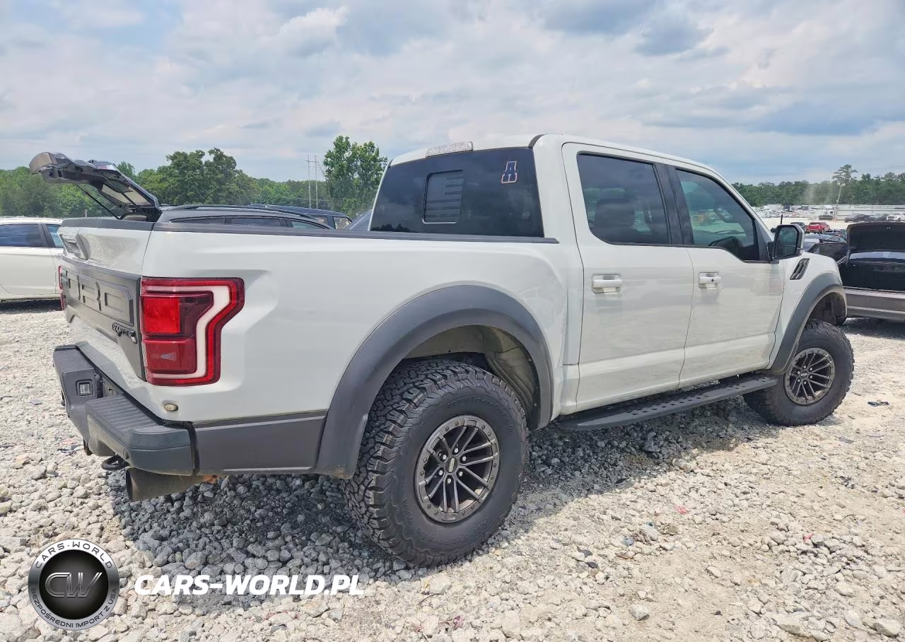 2017 Ford F150 Raptor VIN:1FTFW1RG8HFC18260 - 3