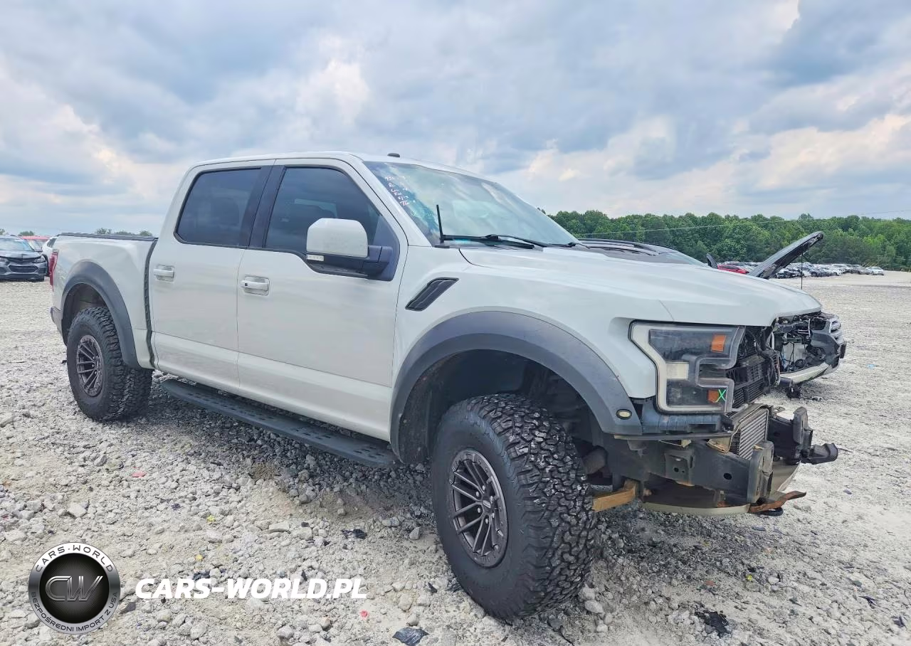 2017 Ford F150 Raptor VIN:1FTFW1RG8HFC18260 - 4