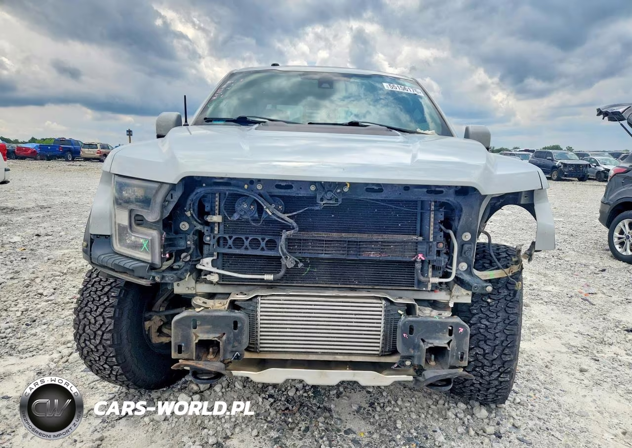 2017 Ford F150 Raptor VIN:1FTFW1RG8HFC18260 - 5