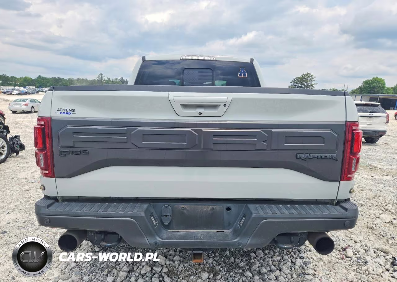 2017 Ford F150 Raptor VIN:1FTFW1RG8HFC18260 - 6