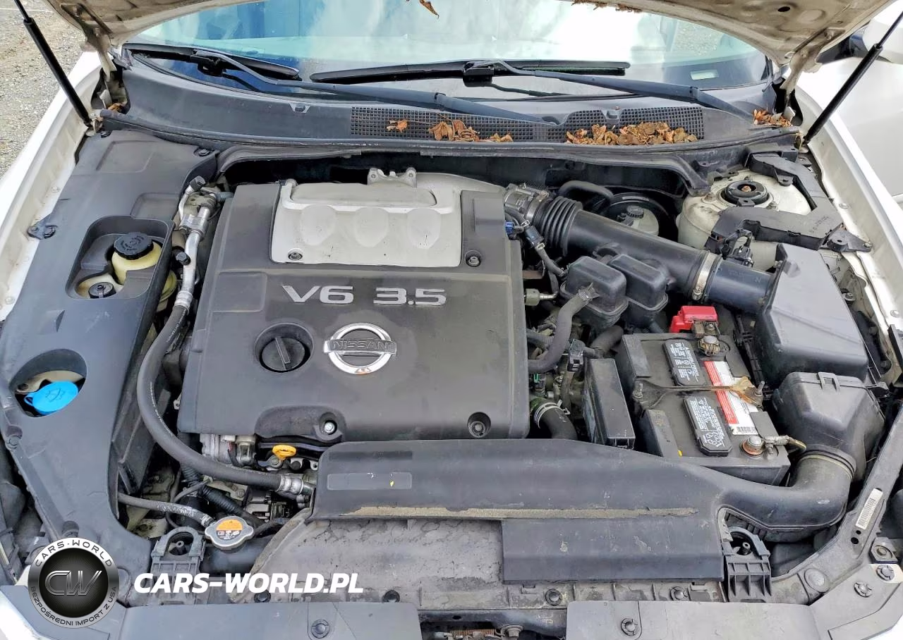 2007 Nissan Maxima 3.5 Se VIN:1N4BA41E67C819214 - 11