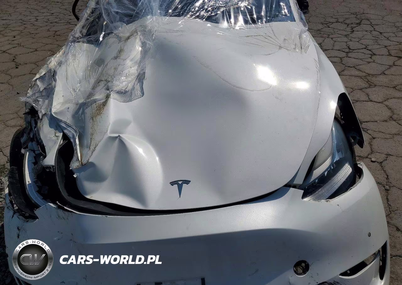 2021 Tesla Model Y VIN:5YJYGDEE0MF088436 - 11