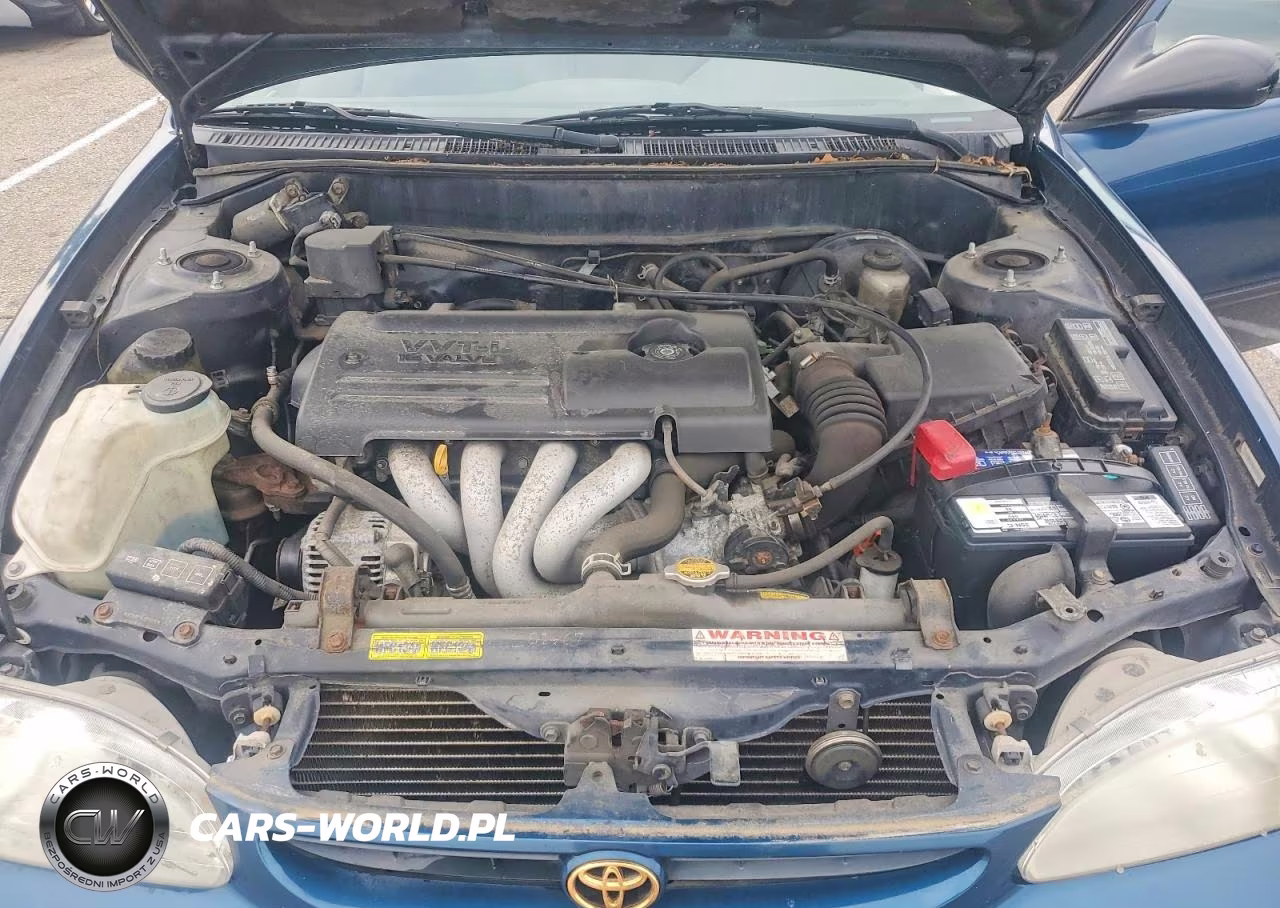 2000 Toyota Corolla Ve VIN:2T1BR12E8YC330807 - 11