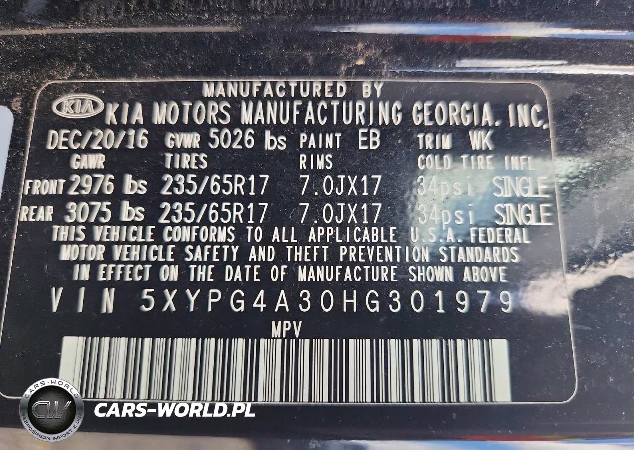 2017 Kia Sorento Lx VIN:5XYPG4A30HG301979 - 13