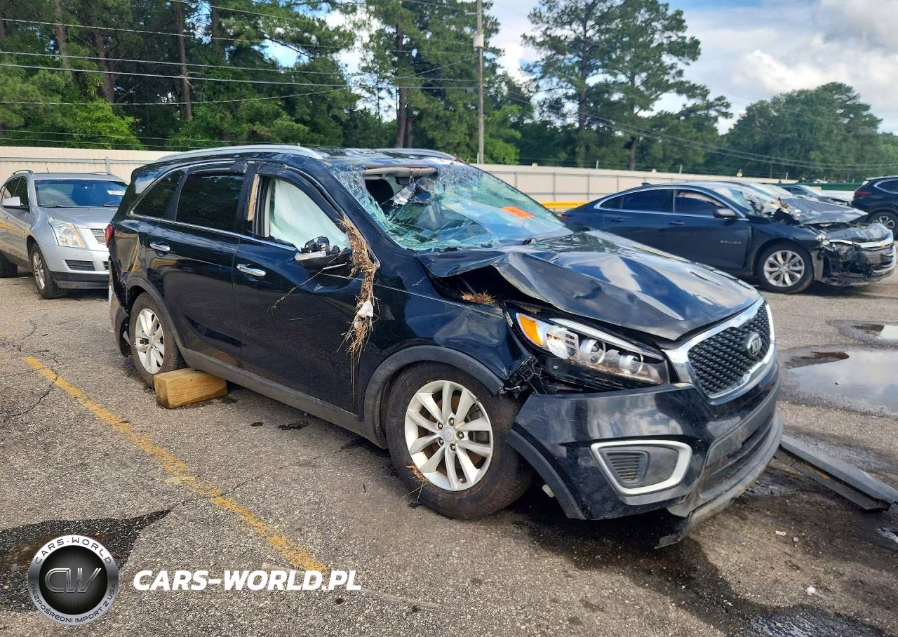 2017 Kia Sorento Lx VIN:5XYPG4A30HG301979 - 4