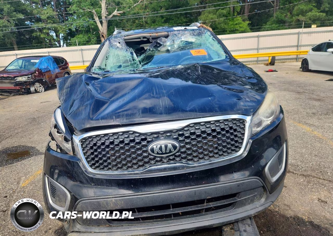 2017 Kia Sorento Lx VIN:5XYPG4A30HG301979 - 5