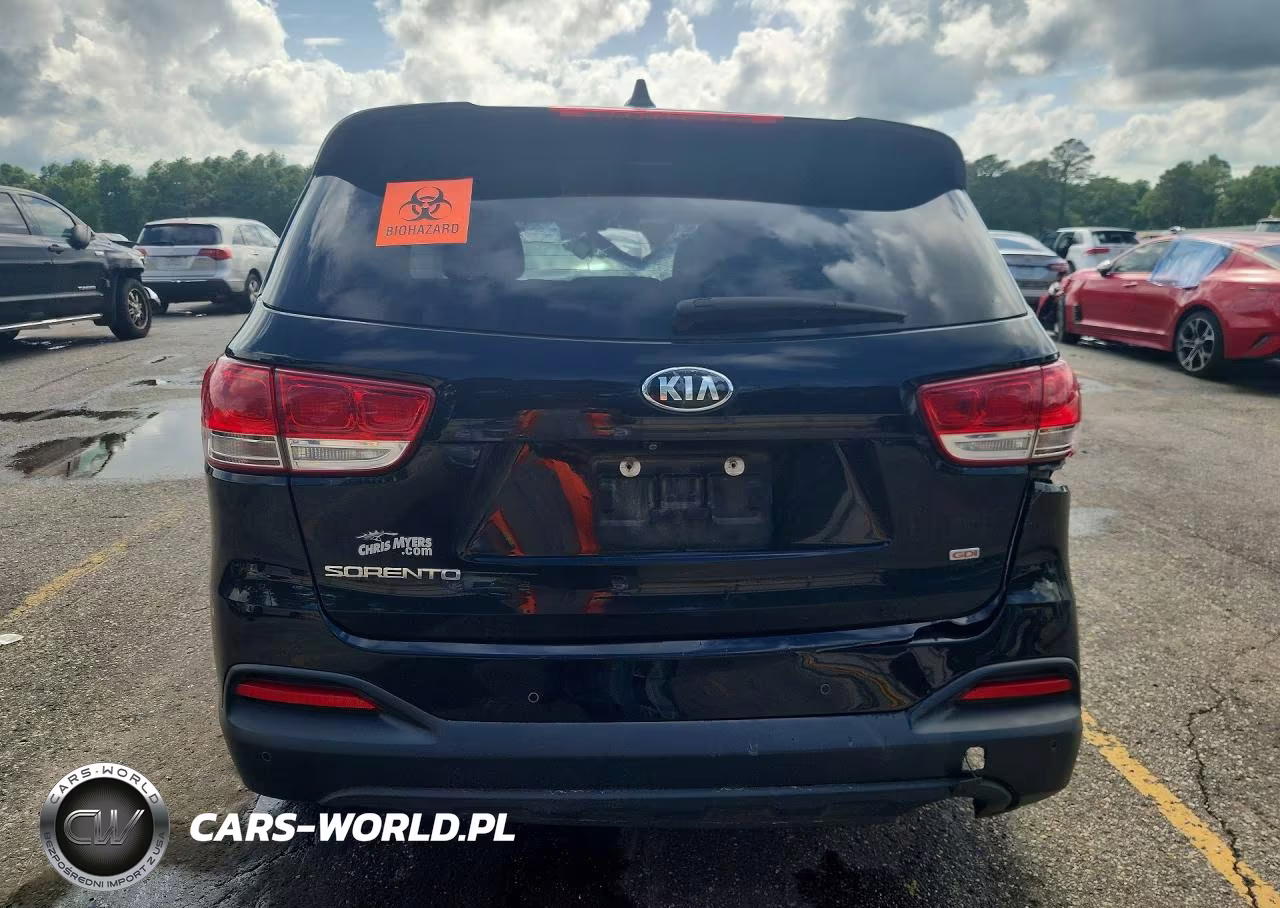 2017 Kia Sorento Lx VIN:5XYPG4A30HG301979 - 6
